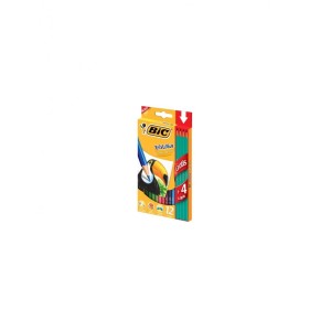Lápis de Cor BIC Evolution Sextavado 12 cores
