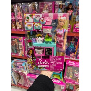 BARBIE PROFISSOES LOJA DE FLORES